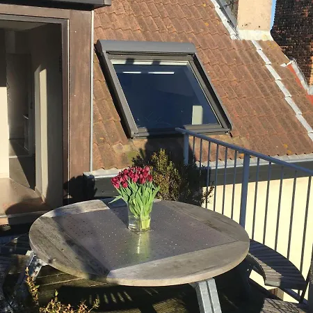 Bright Apartment In Oostende With Roof Terrace *